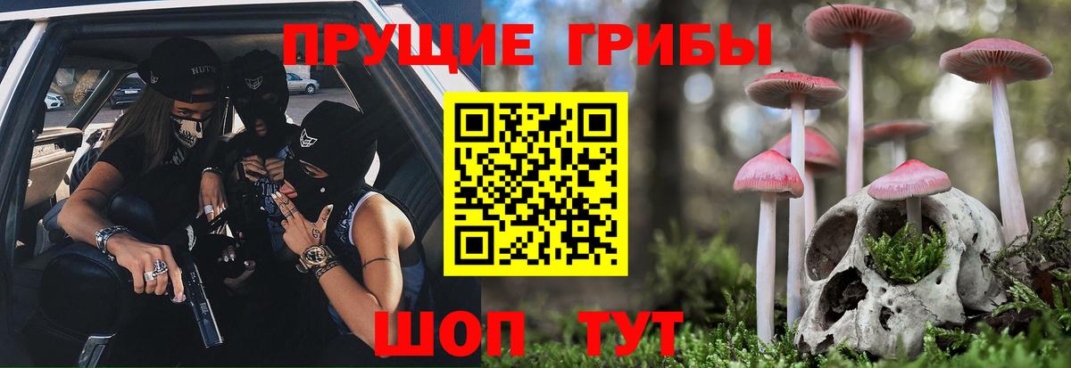 Псилоцибиновые грибы мицелий  Вход с VPN  Партизанск  Псилоцибиновые грибы мицелий 